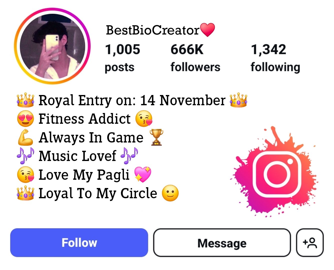 Instagram bio for boys attitude